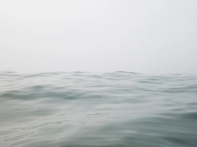 Inceville IV — black-and-white photograph of gentle ocean swells against a muted overcast sky, shot from water level. Medium format film by Alex Hoerner.